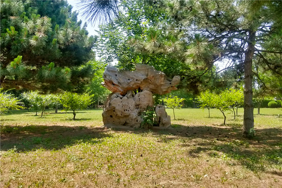 墓区